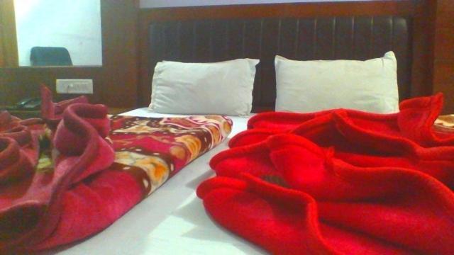 Sahara International Deluxe Hotel New Delhi Phòng bức ảnh