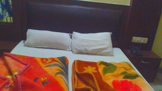 Sahara International Deluxe Hotel New Delhi Phòng bức ảnh